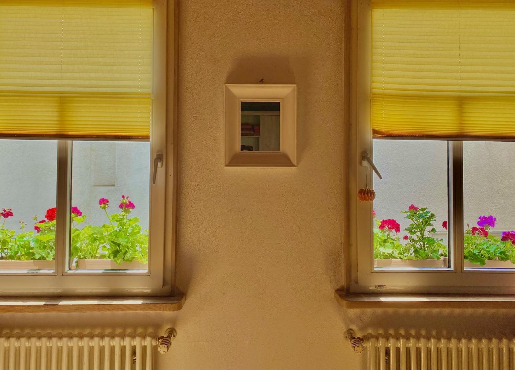 Inselgasse Daire Konstanz Dış mekan fotoğraf